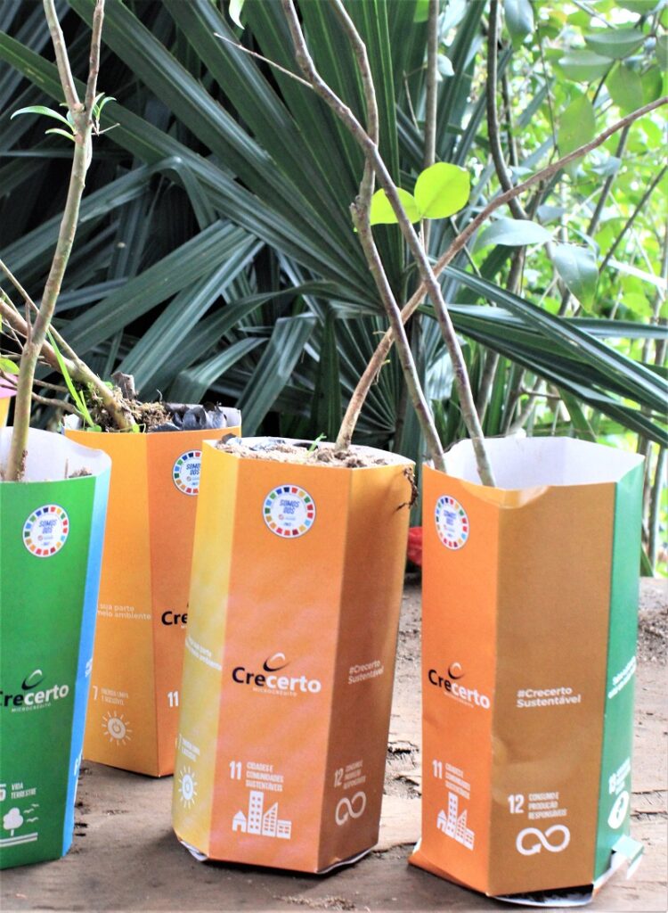 Crecerto distribui mudas com embalagem reciclável e metas do Movimento ODS