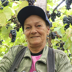 Pierina Aparecida Wendler