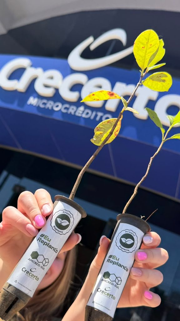 Crecerto participa do Projeto Replanta com a distribuição de mudas de árvores frutíferas